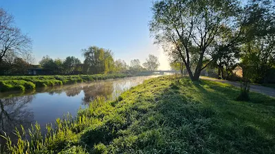dzikierzeki-kajaki.pl